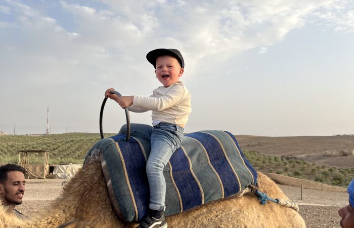 A child wearing a black cap and jeans, joyfully riding a camel with a blue striped saddle at a camp in Agafay.