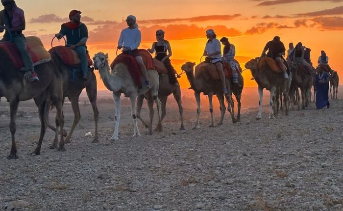 Group of people riding camels at sunset in Agafay Desert camp