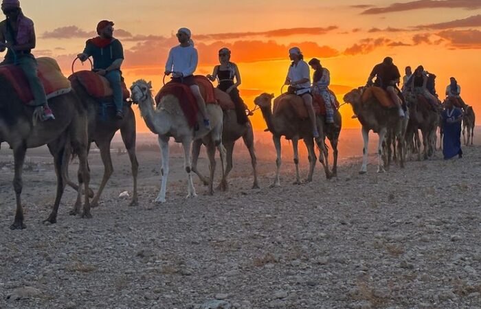 Group of people riding camels at sunset in Agafay Desert camp