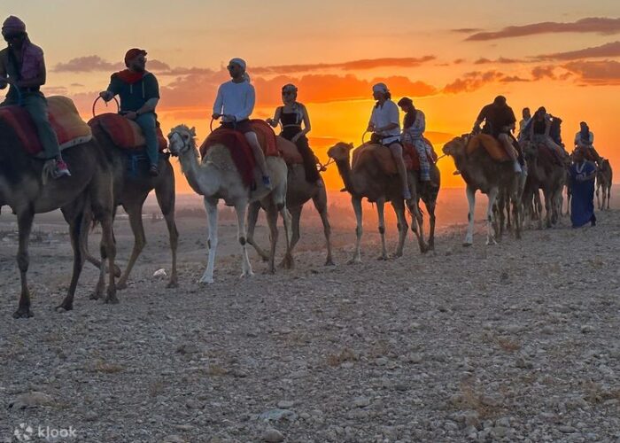 Group of people riding camels at sunset in Agafay Desert camp