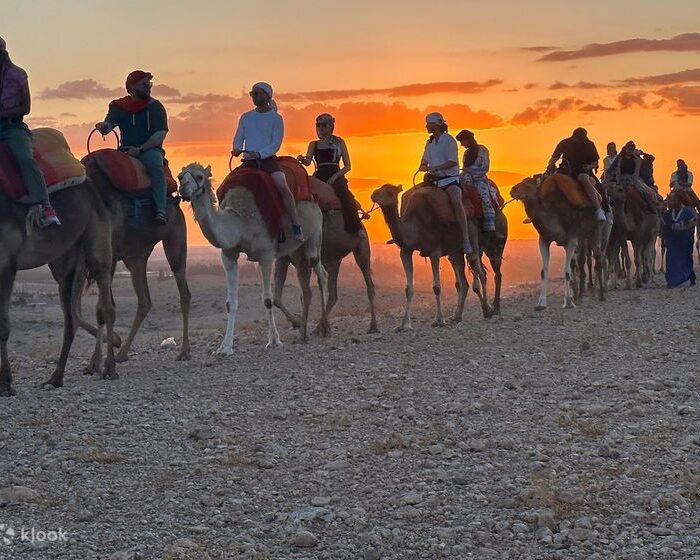 Group of people riding camels at sunset in Agafay Desert camp