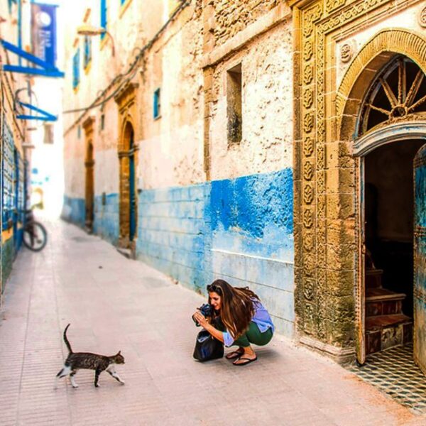 Visitor photographed a cat in a narrow, colorful alley.