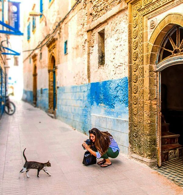 Visitor photographed a cat in a narrow, colorful alley.