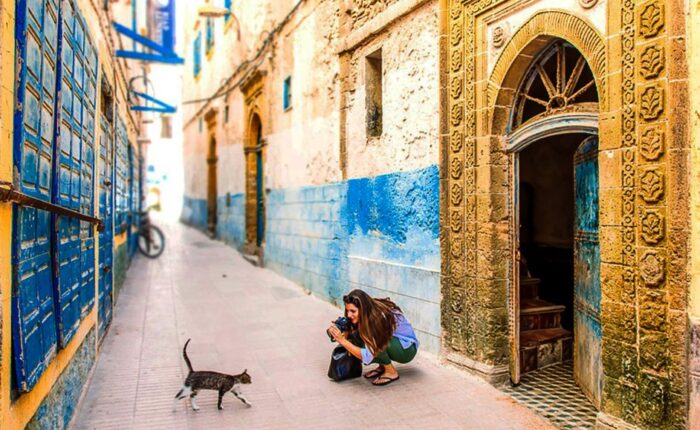 Visitor photographed a cat in a narrow, colorful alley.