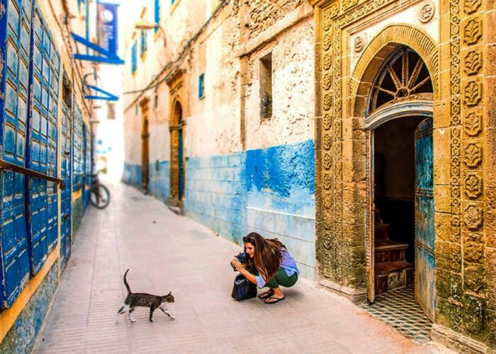 Visitor photographed a cat in a narrow, colorful alley.