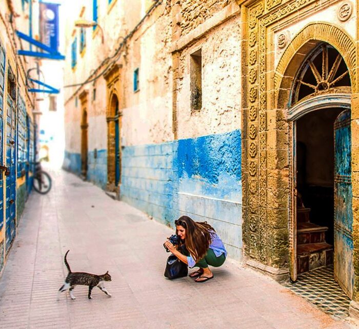 Visitor photographed a cat in a narrow, colorful alley.