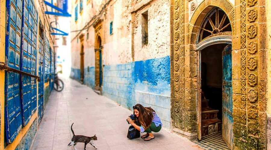 Visitor photographed a cat in a narrow, colorful alley.