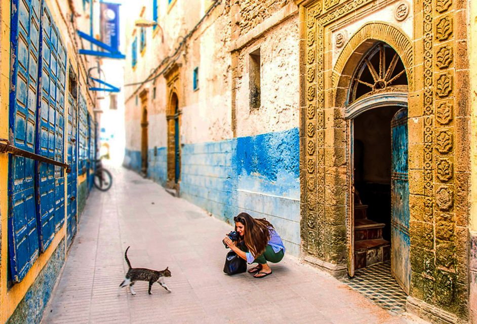 Visitor photographed a cat in a narrow, colorful alley.