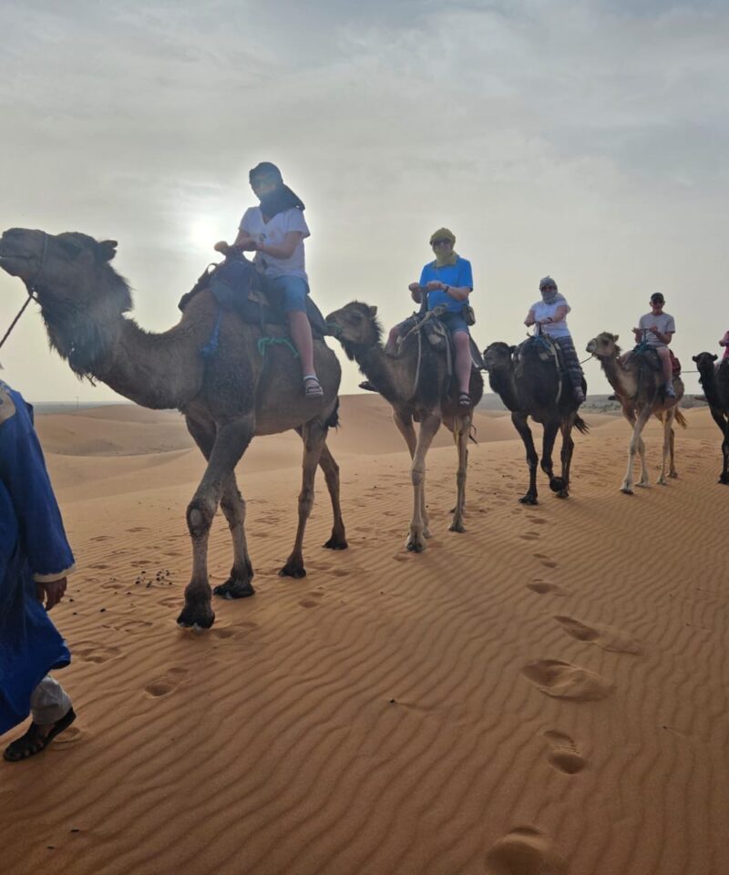 Tourists riding camels led by a guide in traditional attire through the desert.